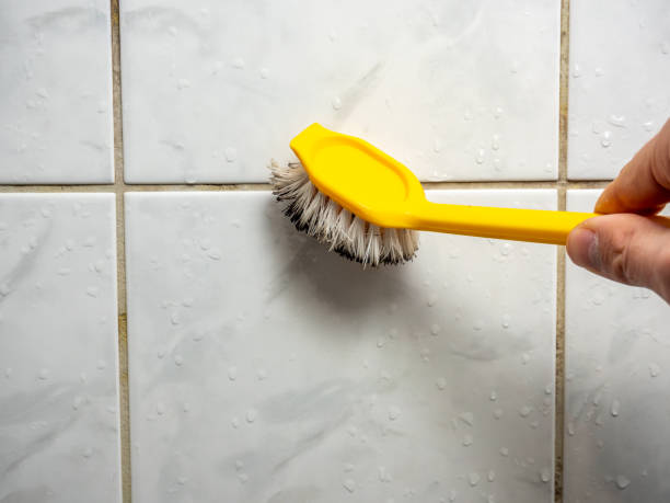 Best Mold Remediation for Schools in Moreland Hills, OH