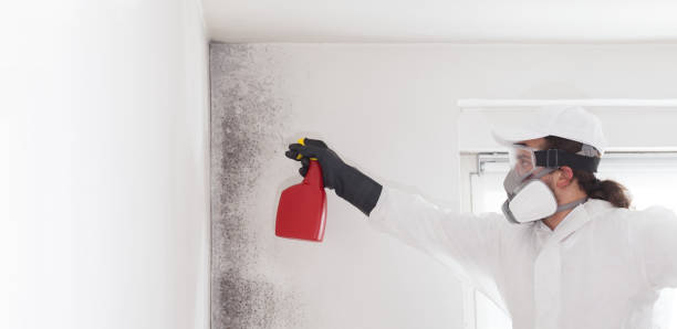 Best Residential Mold Remediation in Moreland Hills, OH